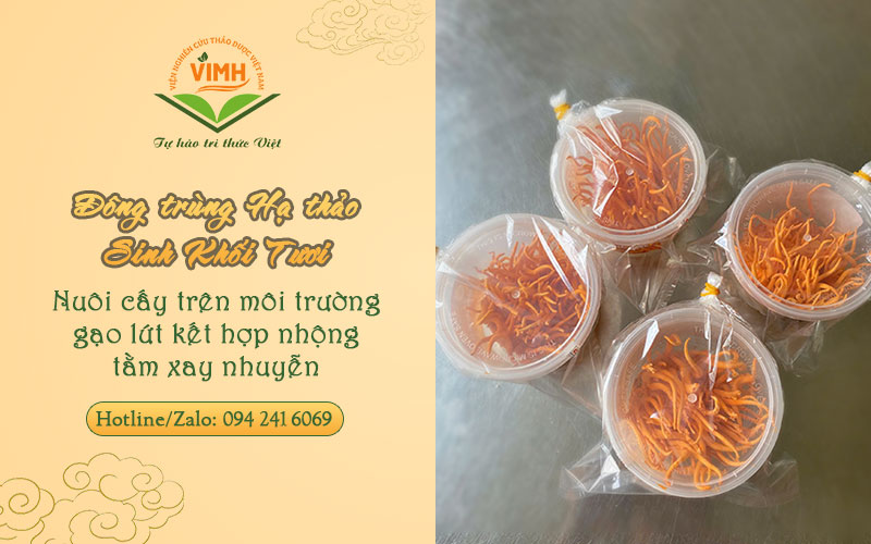 đông trùng hạ thảo viện thảo dược chính hãng