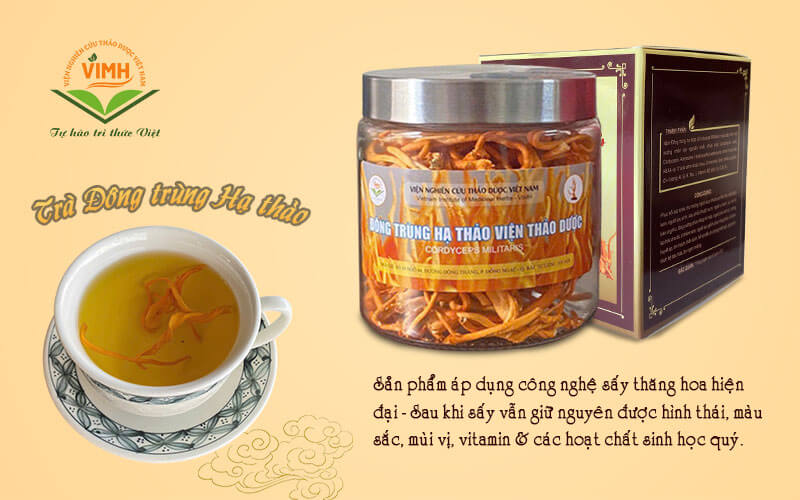 đông trùng hạ thảo viện thảo dược quả thể khô 22gr