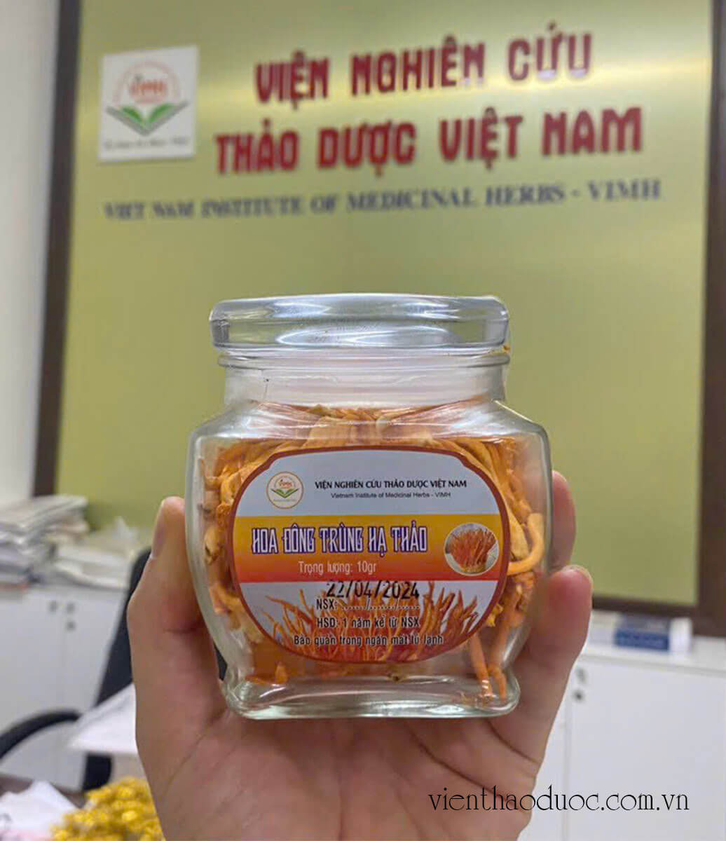 bảng giá đông trùng hạ thảo viện nghiên cứu thảo dược việt nam chính hãng