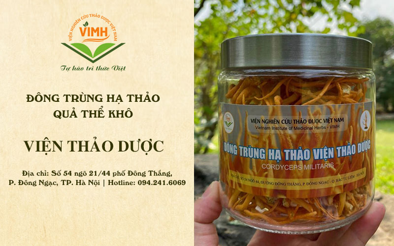 đông trùng hạ thảo quả thể khô viện thảo dược sản xuất