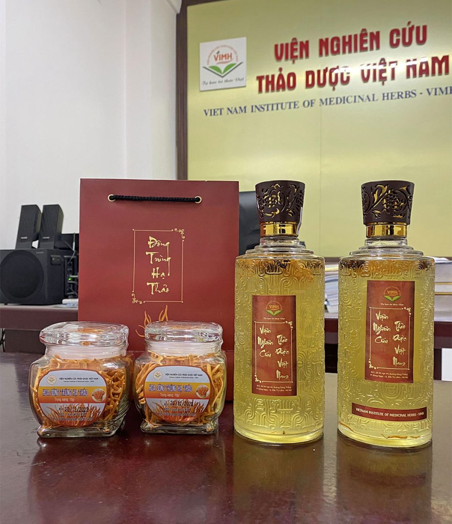 đông trùng hạ thảo viện nghiên cứu thảo dược việt nam