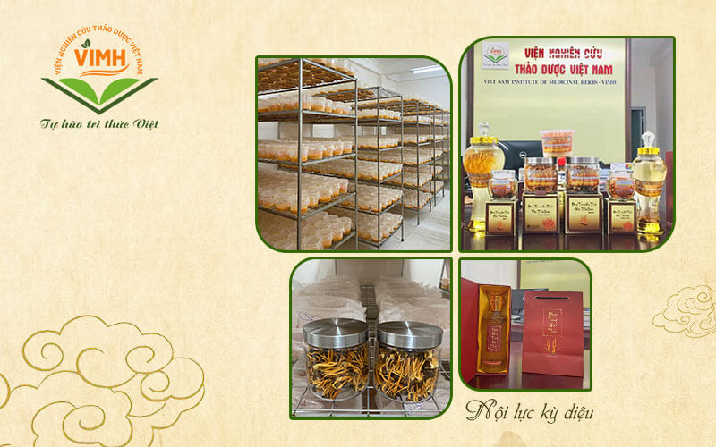 đông trùng hạ thảo viện thảo dược việt nam