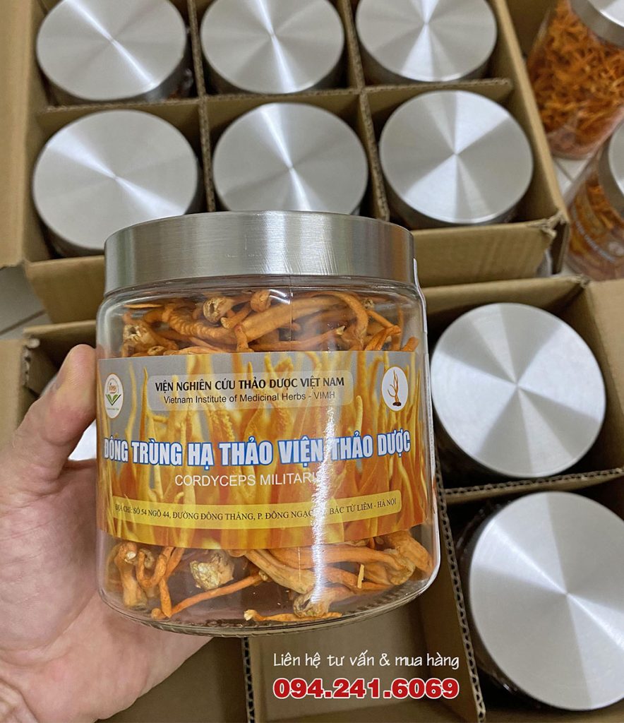 hoa đông trùng hạ thảo viện nghiên cứu thảo dược việt nam