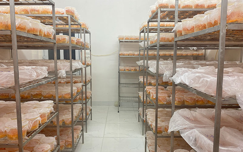 phòng nuôi đông trùng hạ thảo của viện nghiên cứu thảo dược việt nam