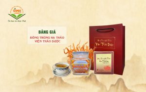 bảng giá đông trùng hạ thảo viện thảo dược