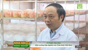 viện nghiên cứu thảo dược việt nam vimh