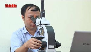 viện thảo dược việt nam