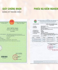 Đông trùng hạ thảo viện nghiên cứu thảo dược việt nam phiếu phân tích