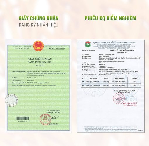 Đông trùng hạ thảo viện nghiên cứu thảo dược việt nam phiếu phân tích